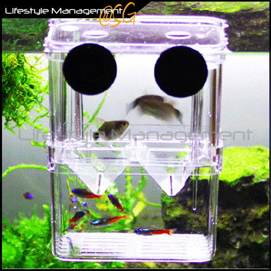 Fish Tank/Aquarium Breeding Isolation Separation/Separator Isolate/Divider