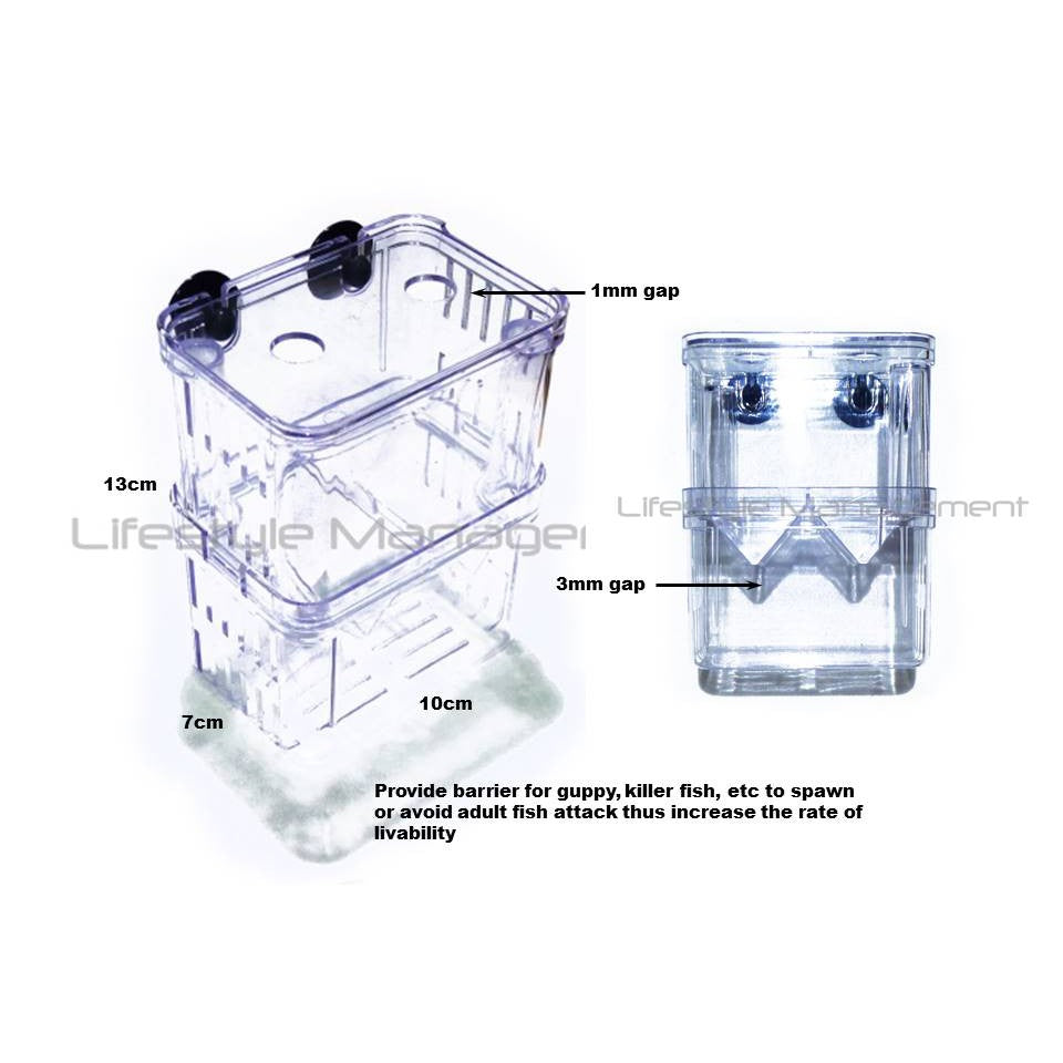 Fish Tank/Aquarium Breeding Isolation Separation/Separator Isolate/Divider