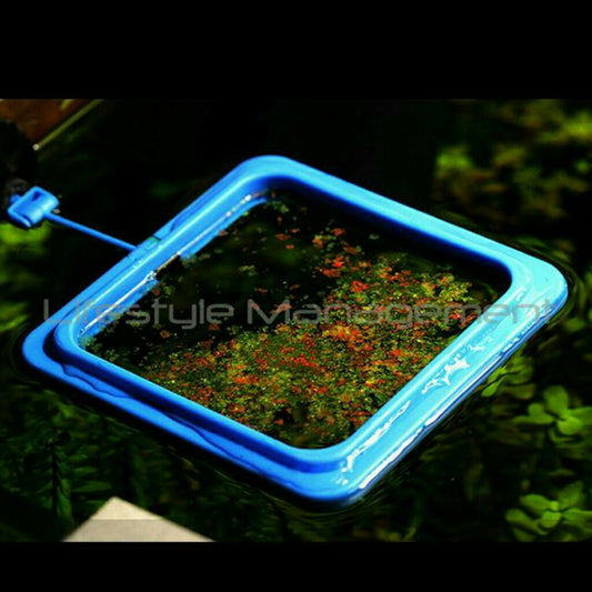 Aquatic Fish Tank/Aquarium Water Floating Feeders Feeding Ring Pet Food